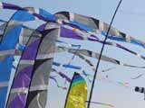 Amoy Kite Festival wind sock in the feather banner pole